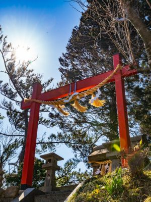 o2250300014999441885